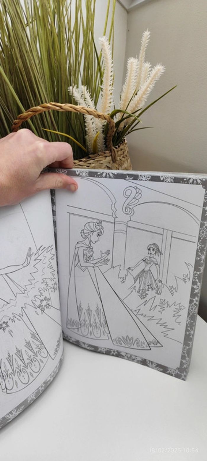 Mégacolor la reine des neiges 2 - photo numéro 2