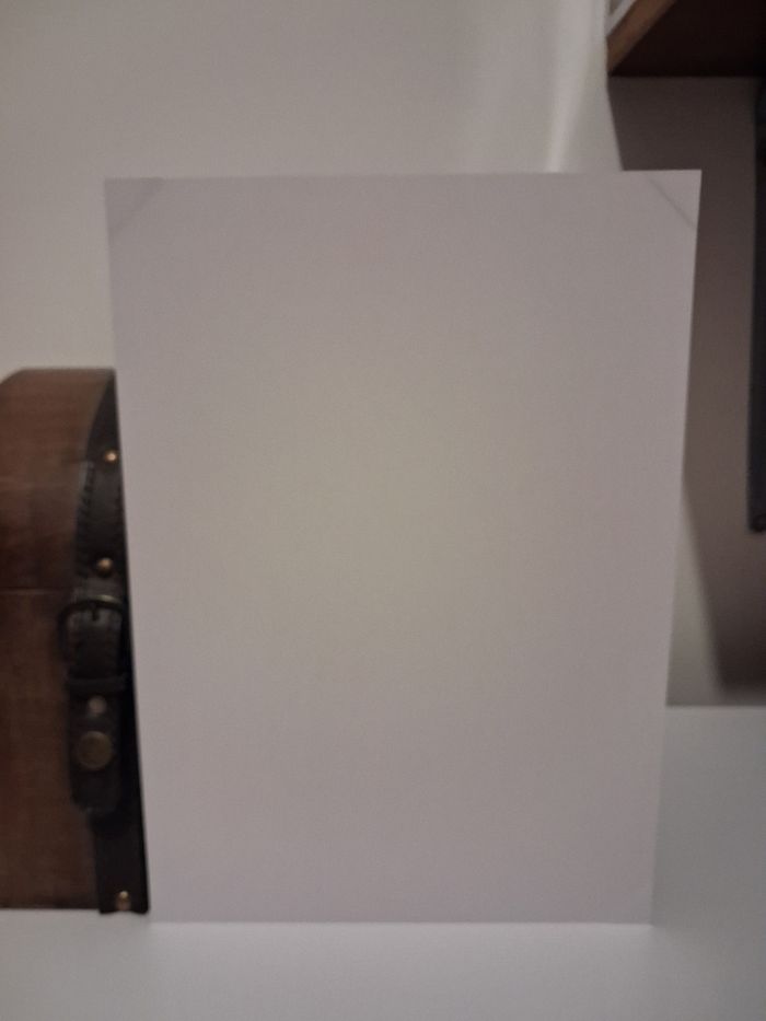 Ex-Libris Ex Libri Shikishi Fossiles de rêves Ex Libris - photo numéro 2