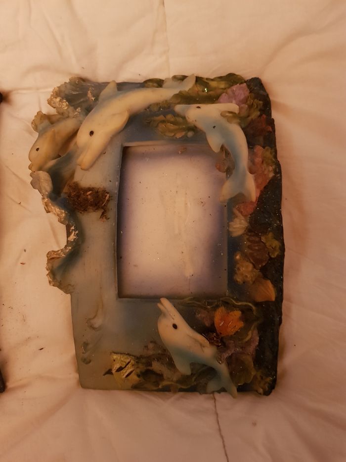 Cadre photo dauphin - photo numéro 2