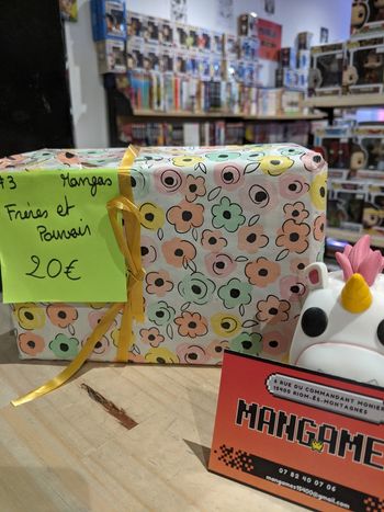 Paquet Mystère Manga – Frères et Pouvoir 