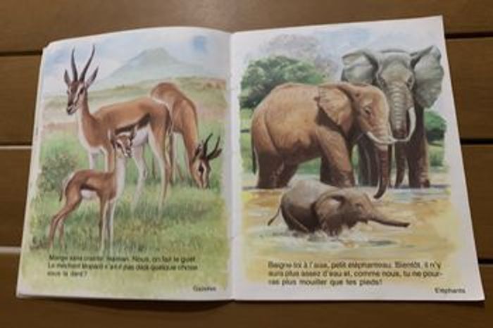 Amis d’ici et d’ailleurs - photo numéro 4