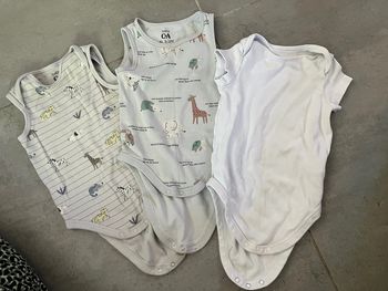 Lot 3 bodys C&A 9-12 mois