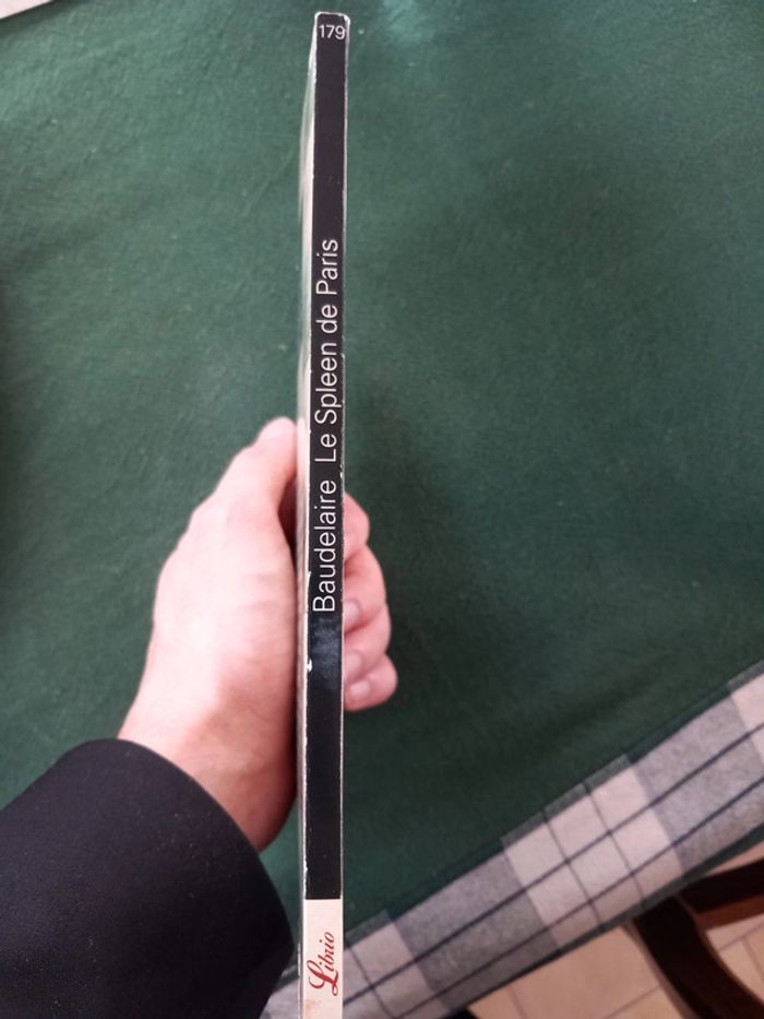 Le spleen de Paris - photo numéro 3