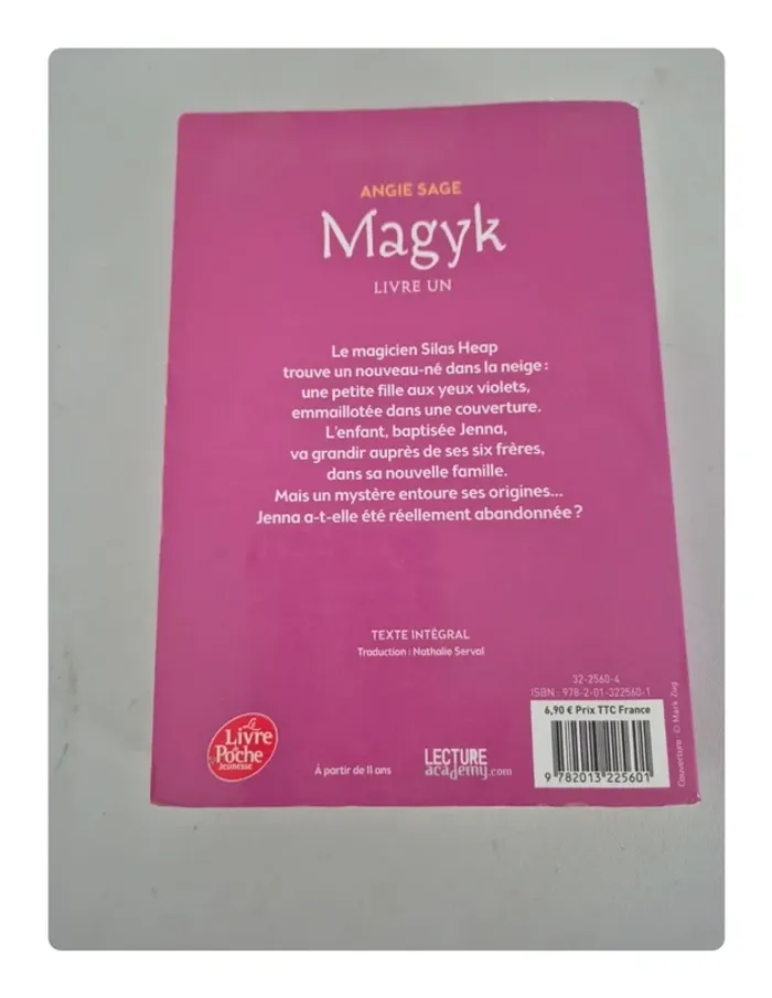 Magyk livre un - photo numéro 2