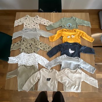 Lot de 11 bodies manches longues 18mois