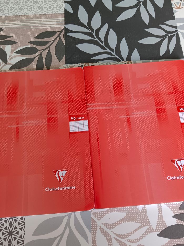 Lot de 2 petits cahiers 96 pages