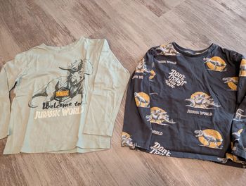 Lot t-shirts 5-6 ans Jurassic world
