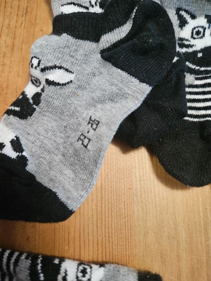 Lot de 4 paires de socquettes courtes 23-26 - photo numéro 4