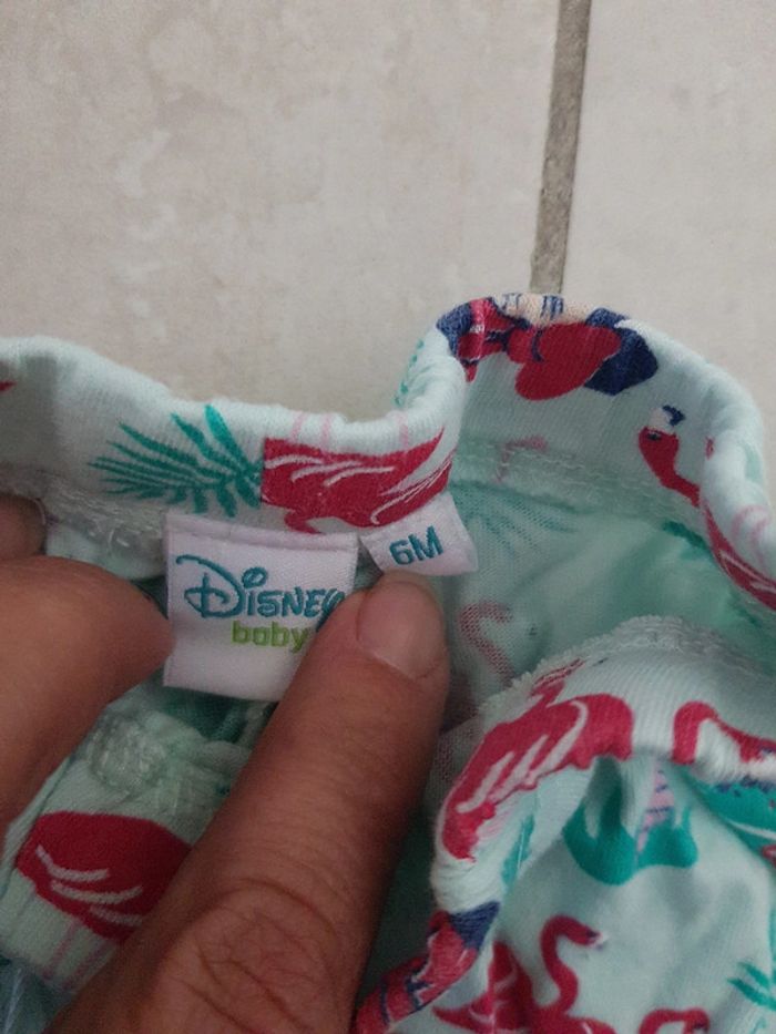 Short Disney - photo numéro 3