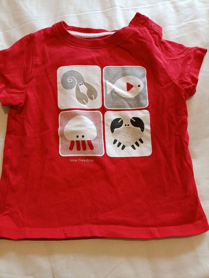 T-shirt manches courtes 12 mois - photo numéro 8