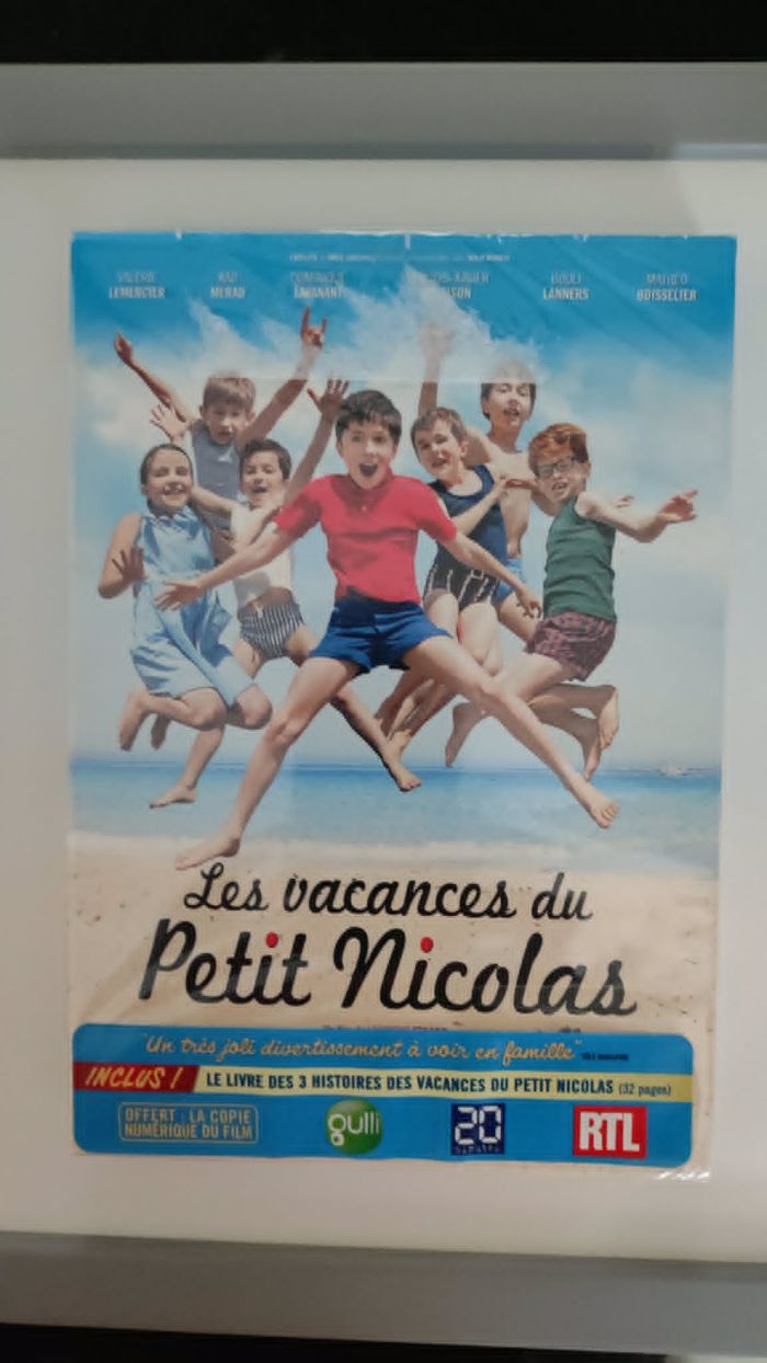 Les vacances du petit Nicolas DVD Neuf sous blister - photo numéro 1