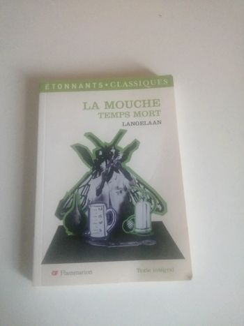 🌸La mouche temps mort de Labgelaan 🌸