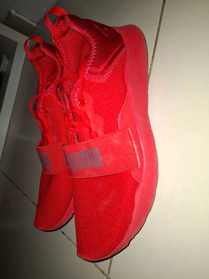 Puma 41 - photo numéro 7