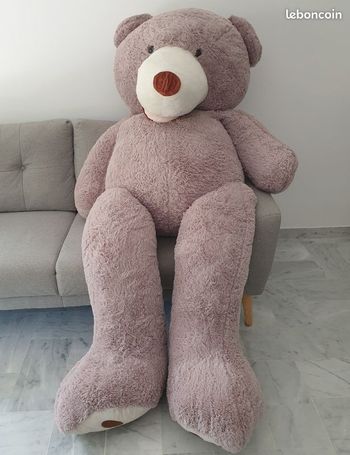 Ours géant, peluche