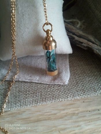 Pendentif coquilles d'ormeaux dans tube en verre et acier inoxydable