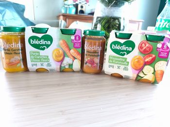 Lot de 6 petits pots - 6 mois - bledina  