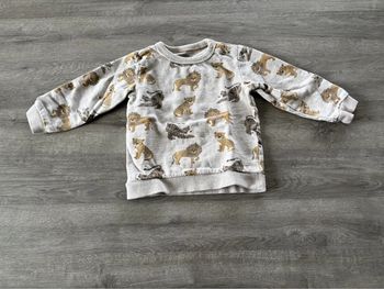 Pull 18 mois C&A