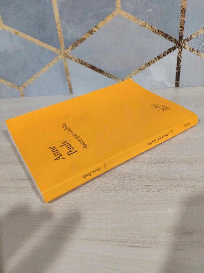 Livre grand format Avant que j'oublie Anne Pauly - photo numéro 5