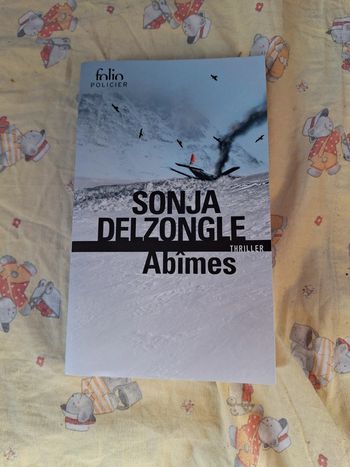 Abîmes sonja delzongle