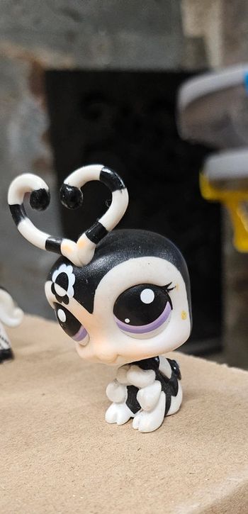 Pet shop rare Lady bug 2250
