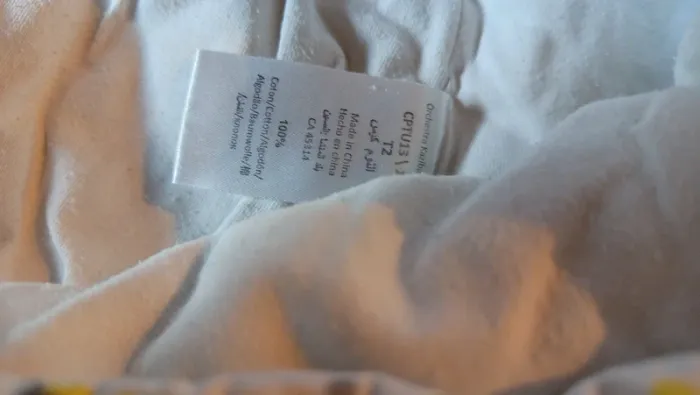 Turbulette orchestra mixte T2 - photo numéro 4