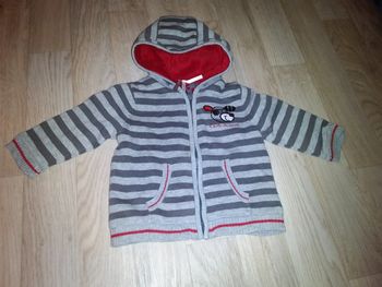 Gilet rayé zippé à capuche en très bon état