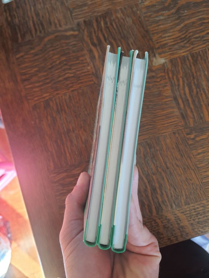 Lot de 3 livre baskup tome 1.2et3. - photo numéro 4