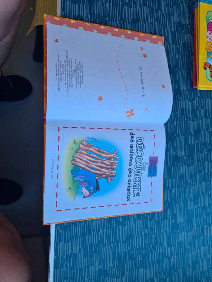 Livres Winnie l'ourson - photo numéro 7
