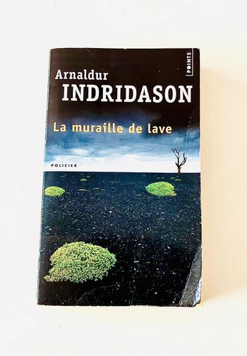 La muraille de lave de Arnaldur Indridason - Editions Métailé