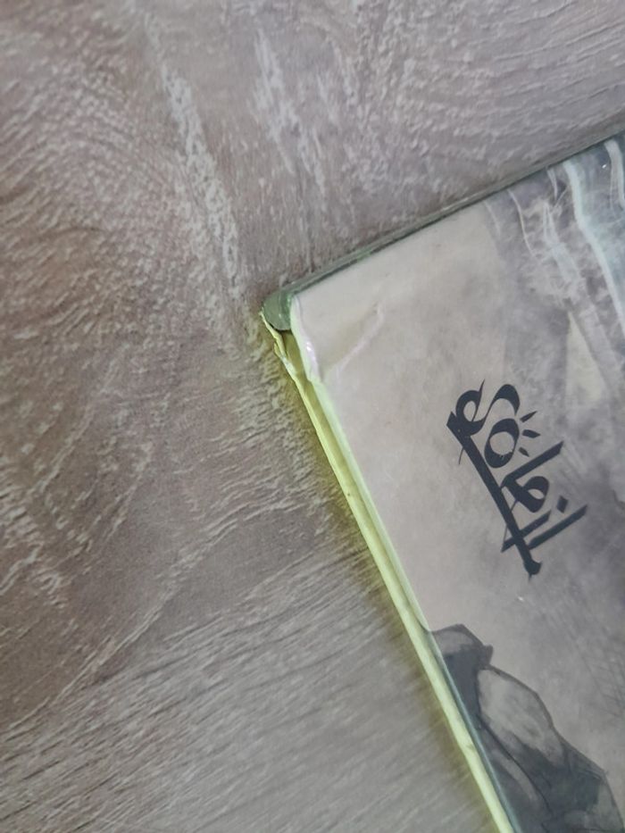 BD tome 1 Orcs & gobelins - Turuk - photo numéro 3