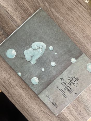 Livre jeunesse « les petits chemins de veille en bulle »