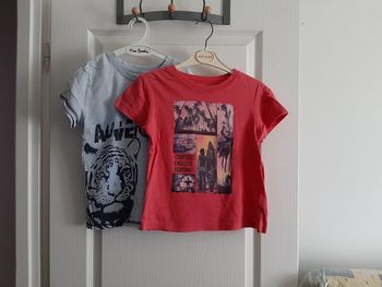 Lot 2 T-shirt Complices + tigre