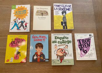 Lot de romans et guides pour l’entrée en 6e
