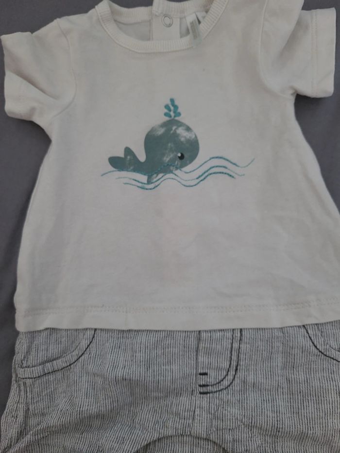 Combishort avec manches 3 mois 60 cm - photo numéro 5