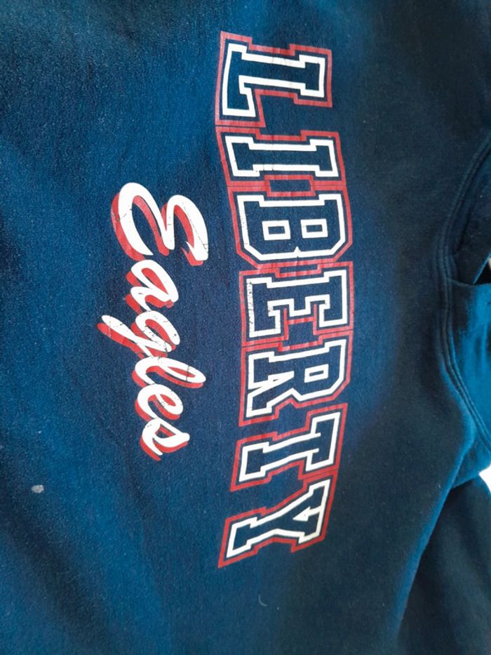 Sweat capuche Gildan imprimé Liberty eagles - photo numéro 4