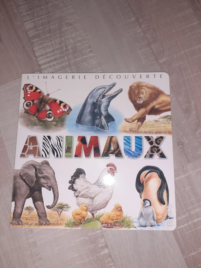 L'imagerie découverte animaux