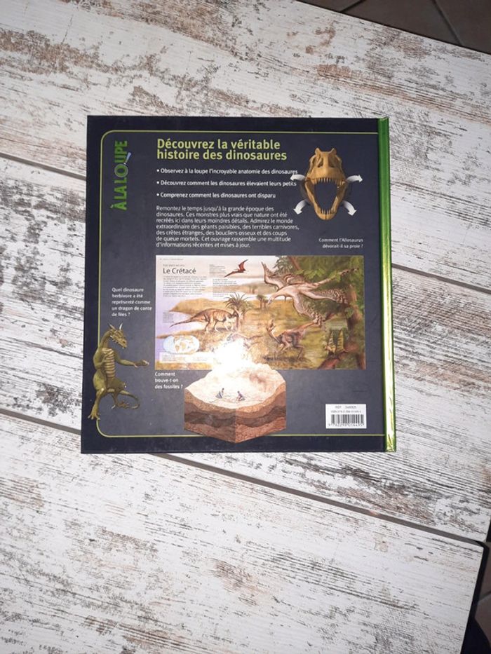 Livre Les dinosaures à la loupe - photo numéro 2