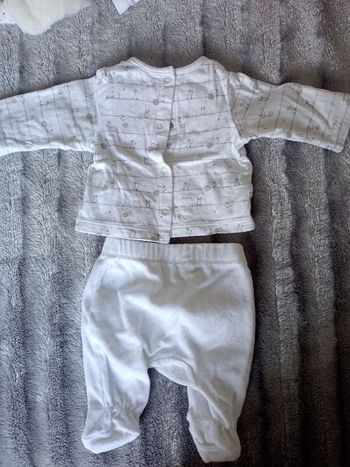 Ensemble lapin