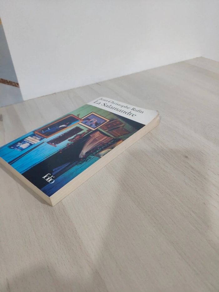 Livre poche la salamandre Rufin - photo numéro 3