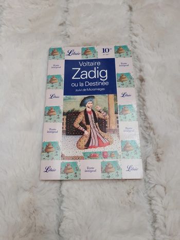 Zadig ou la destinée