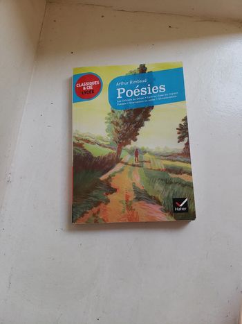 Livre des poésies de rimbaud. Les cahiers de douai..
