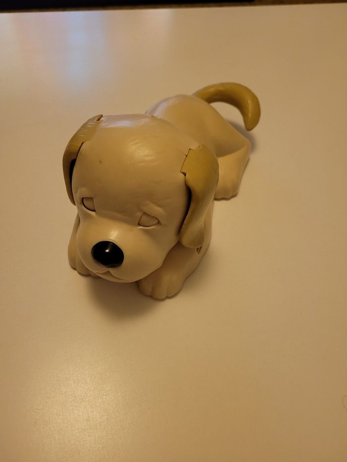 Chien - photo numéro 5