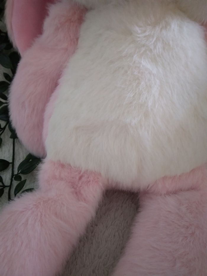 Peluche lapin neuve. 30->16€ - photo numéro 5