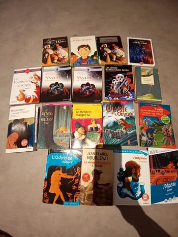 divers livres collège
