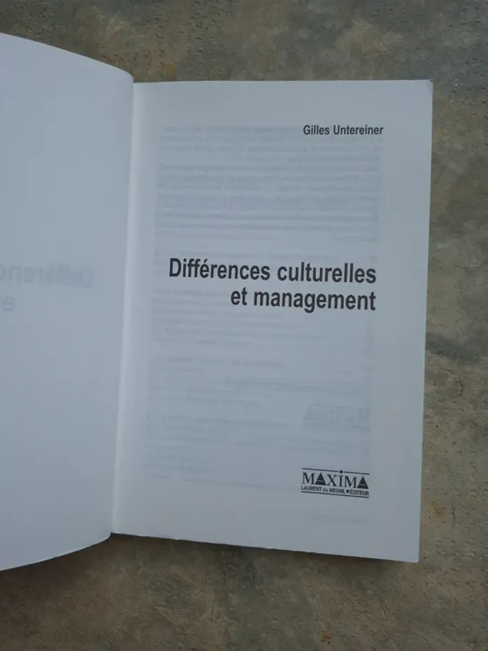 Livre différences culturelles et management - photo numéro 2