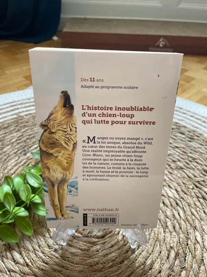 Livre - Croc blanc - photo numéro 3
