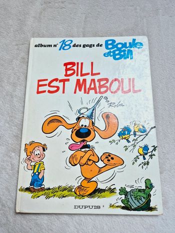 Bande dessinée Bill est maboule