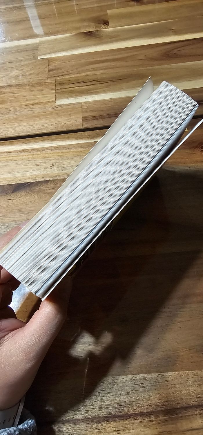 L'histoire de France pour les nuls - photo numéro 4