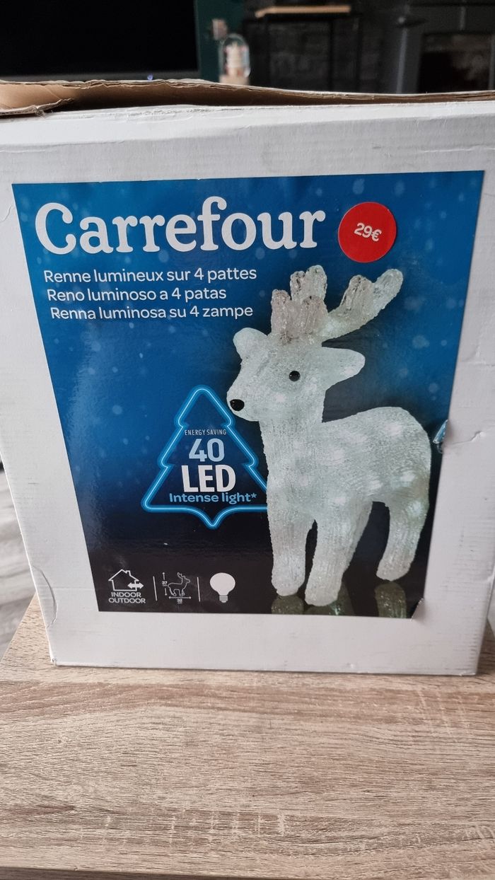 RENNE LUMINEUX - photo numéro 2