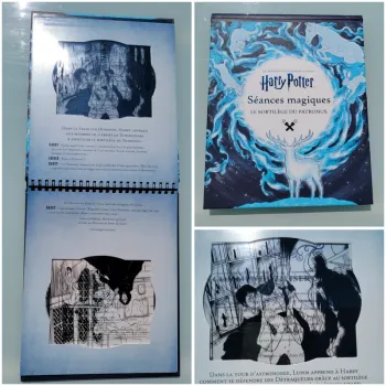Superbe livre animé J.K Rowling's wizarding world, Harry Potter, Séances Magiques (86)